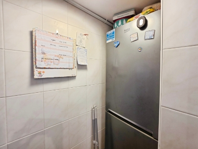 Picture 12